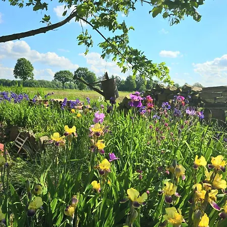 Fischer Апартаменты